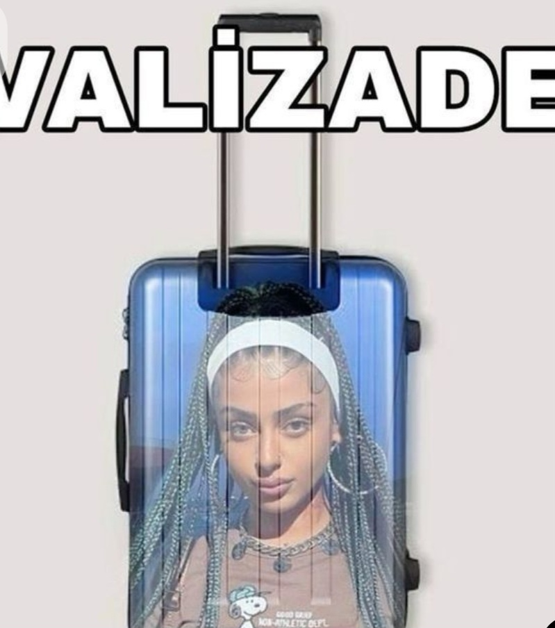 Nurdisina