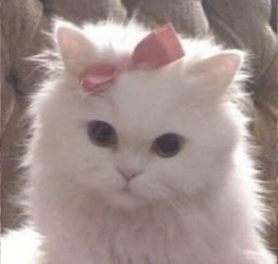 Maskeli Okur