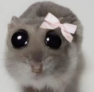 #₺sad&*hamster%”🎀