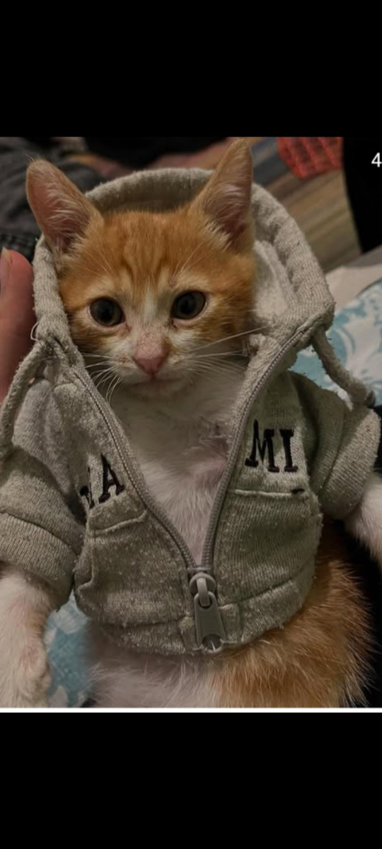 Furkan