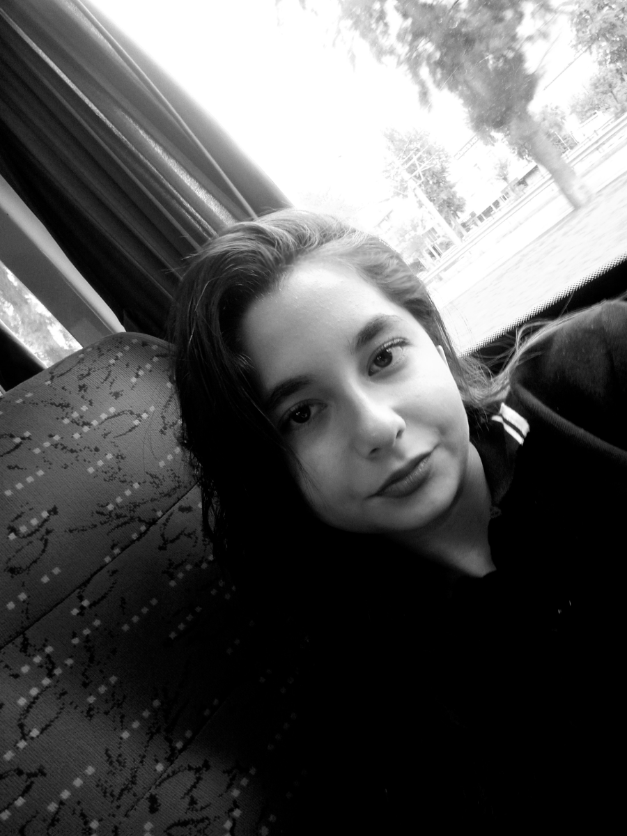 toprak bedir