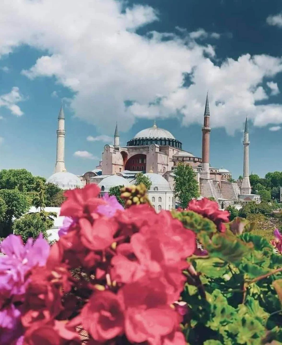 Gülcan