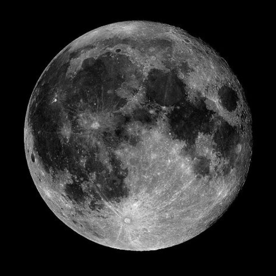 Yaman🌕