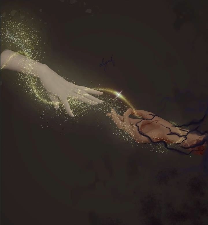 D.S