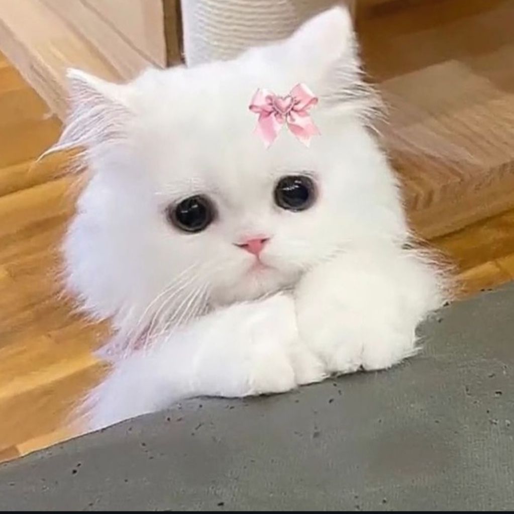 Kim Yeoni
