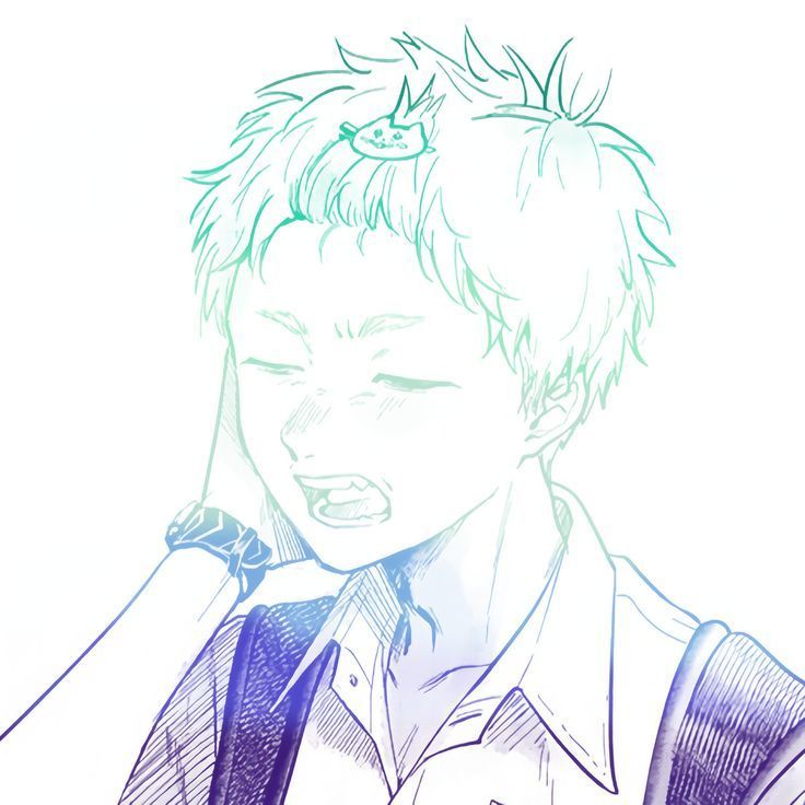 The Real Hikaru