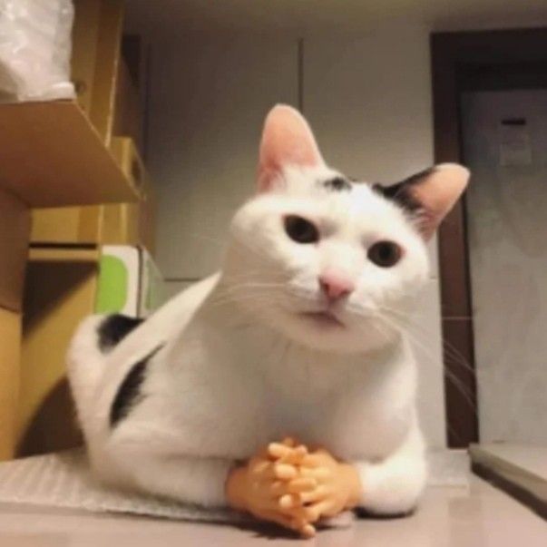 Gizli