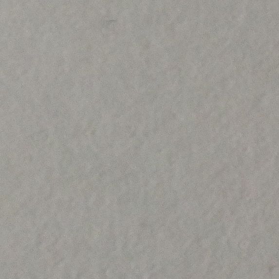 🦊✨