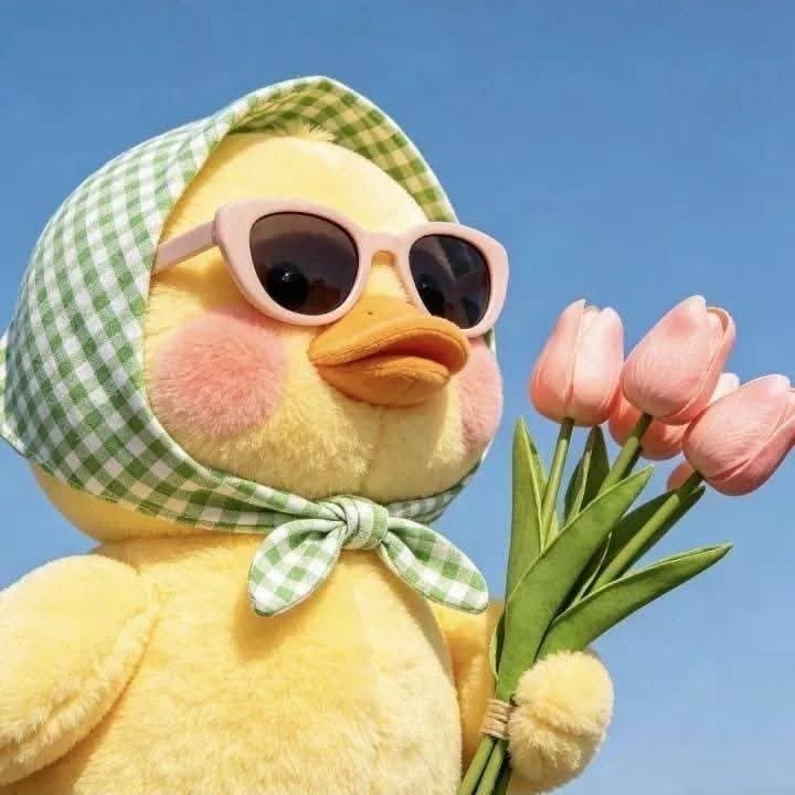 Minik Kuş