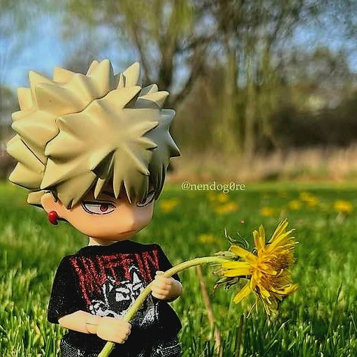 Mr.bakugo Katsuki