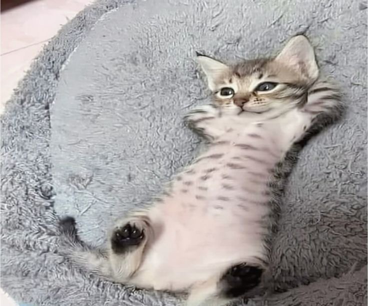 Karen