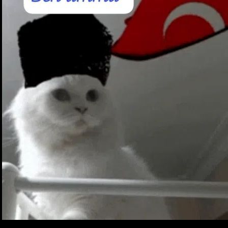 ASENA BOZKURT🇹🇷