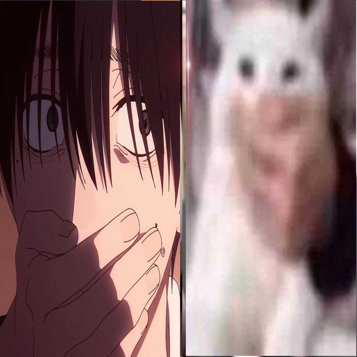 panpayosiki