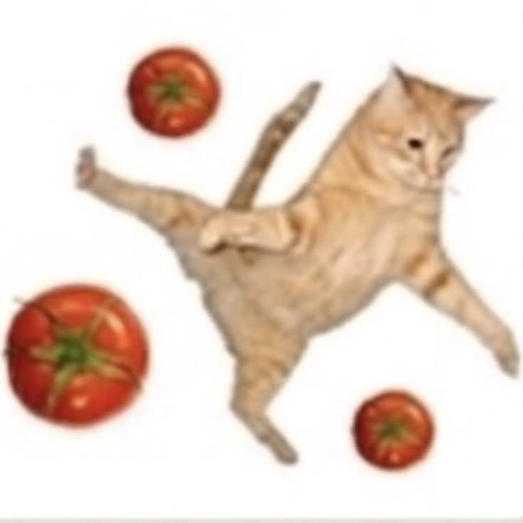 Kedi