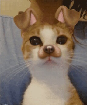 ꒰꒰ ղყ𝗍һᥲr