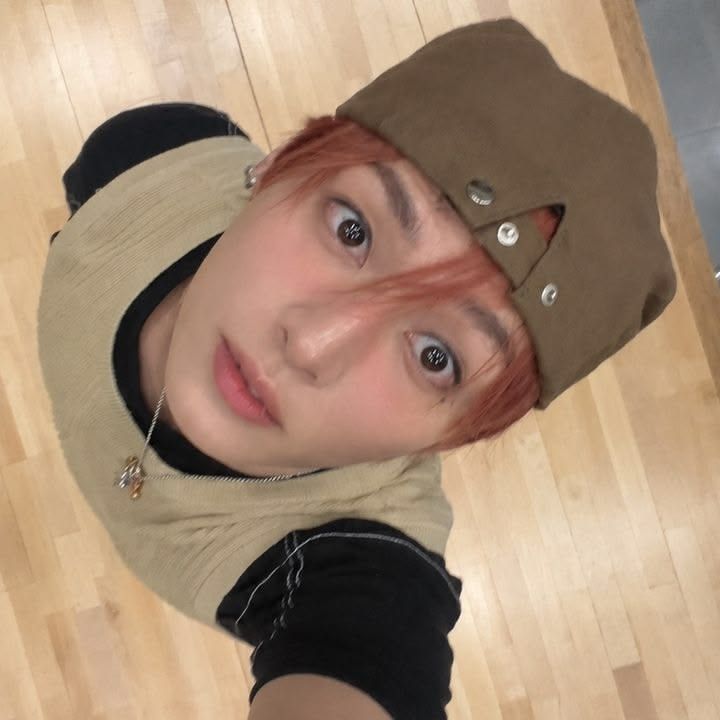 tavsantavsan