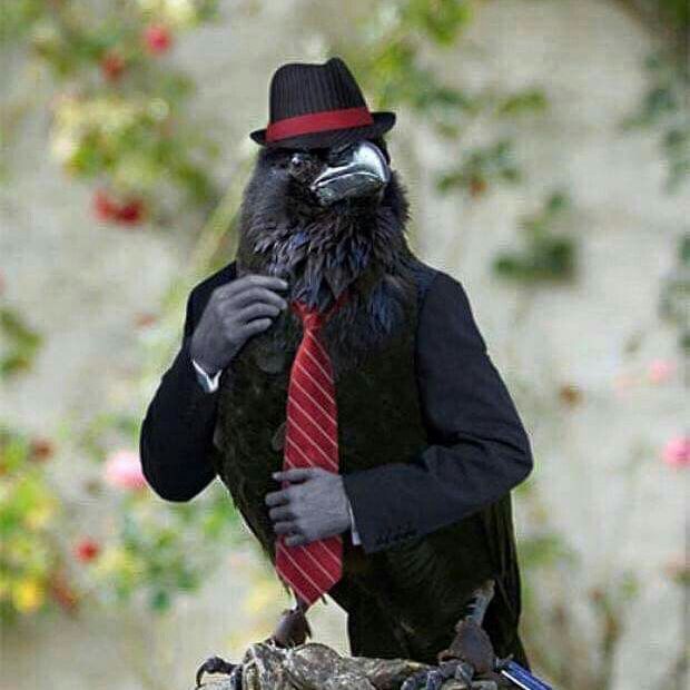Karga