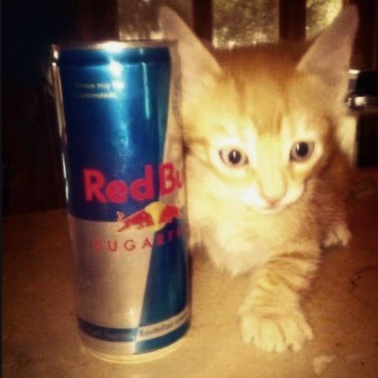 MİRRRRAYY
