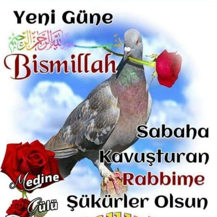 Femboy Ökkeş
