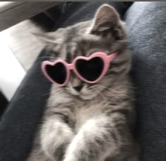 kat