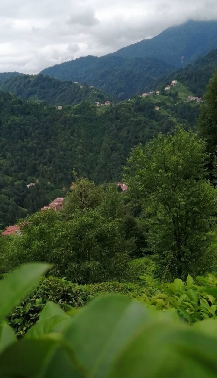 صورة المنشور