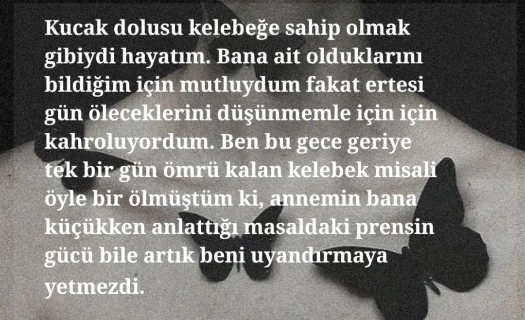 Gönderi görseli