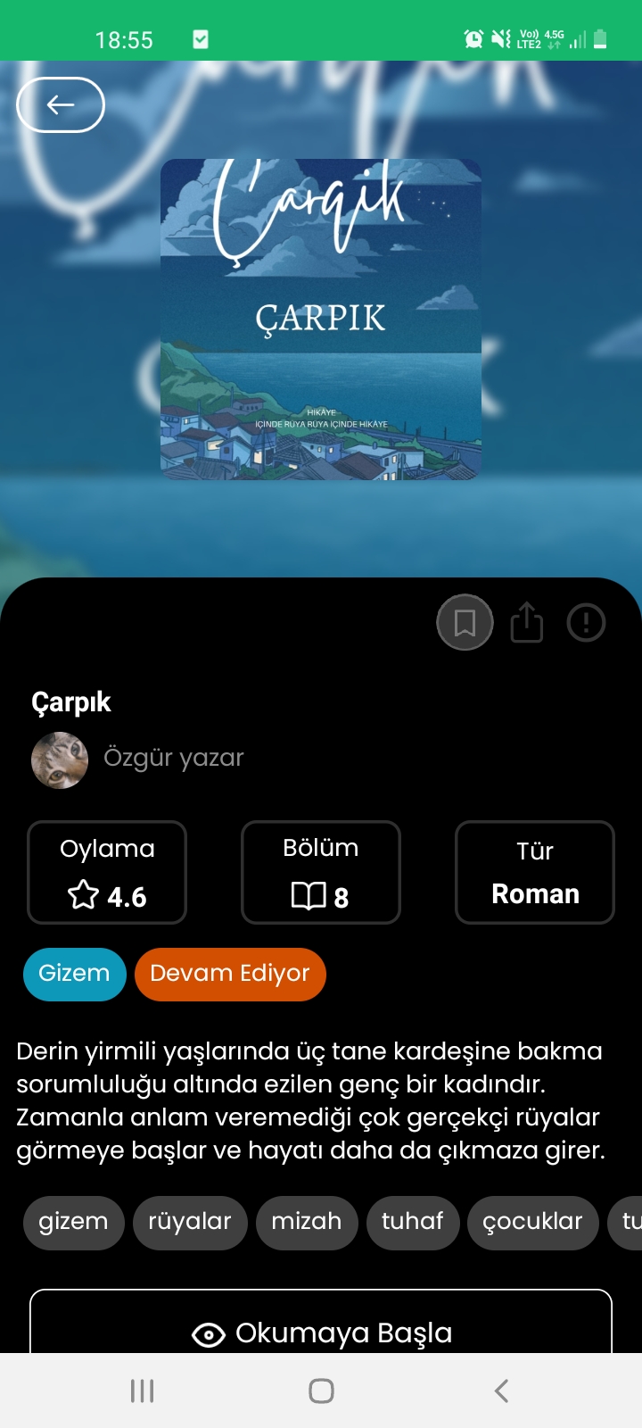 Gönderi görseli