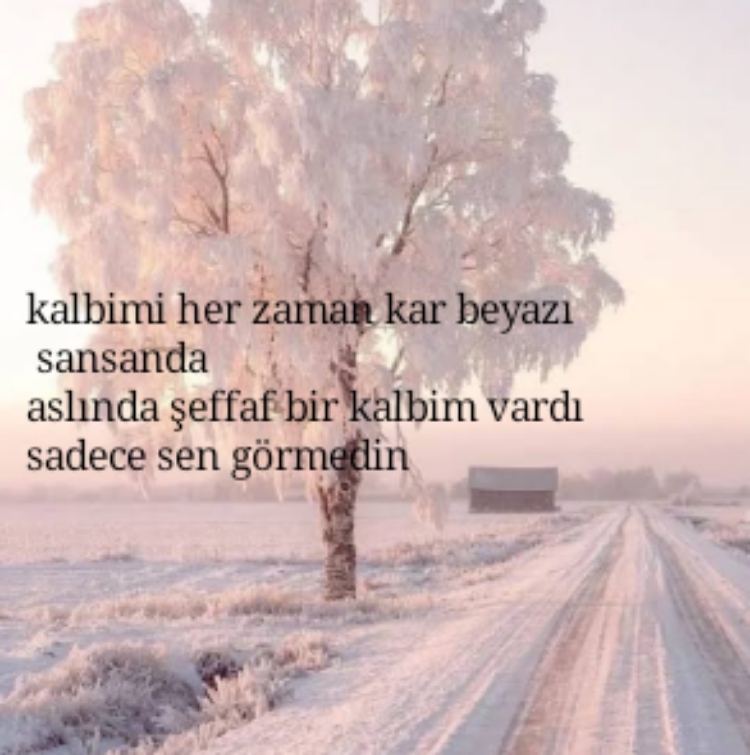 Gönderi görseli