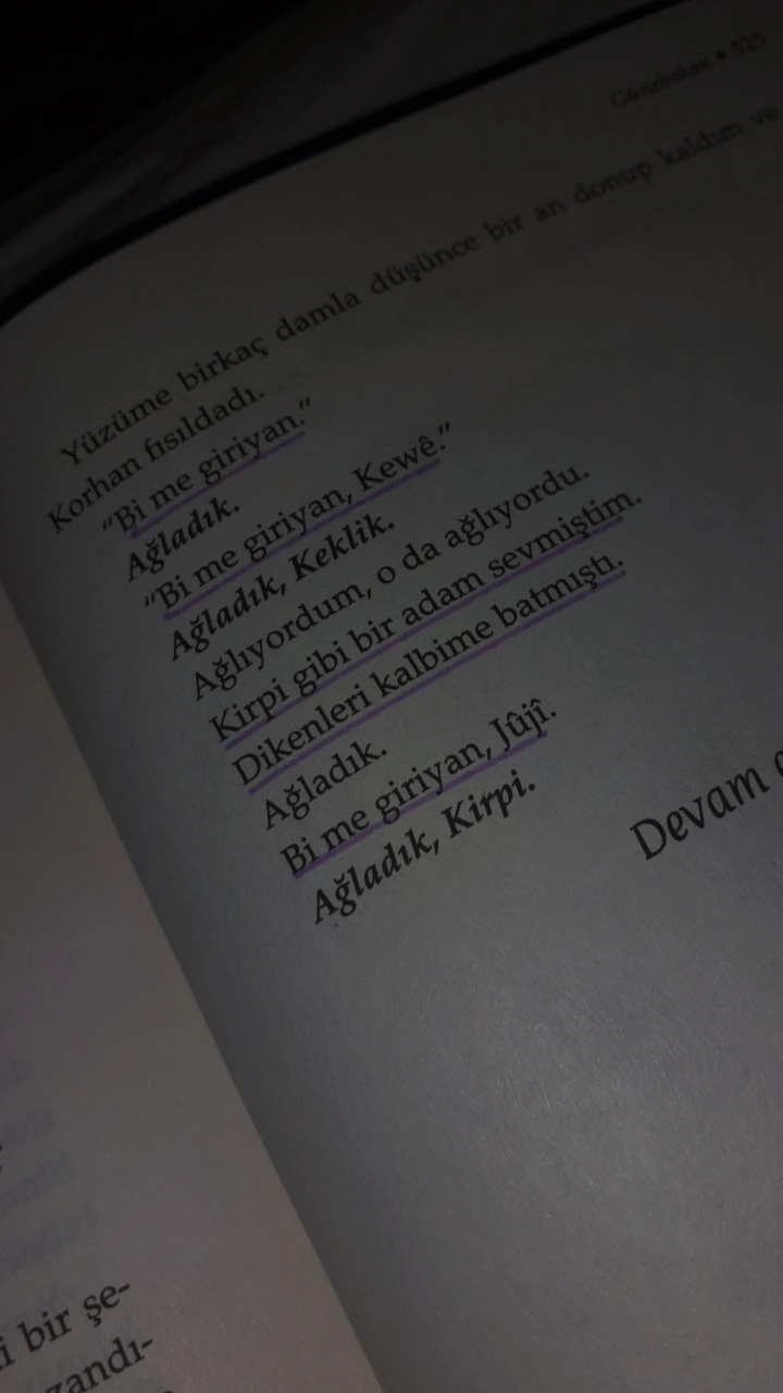 Gönderi görseli