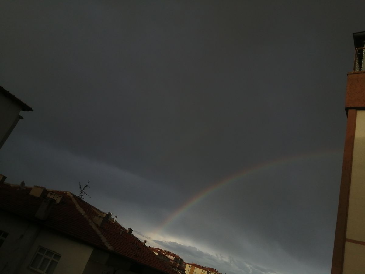 صورة المنشور