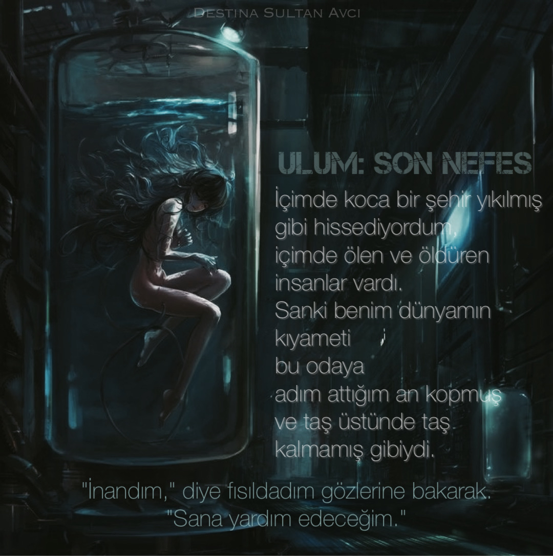 Gönderi görseli