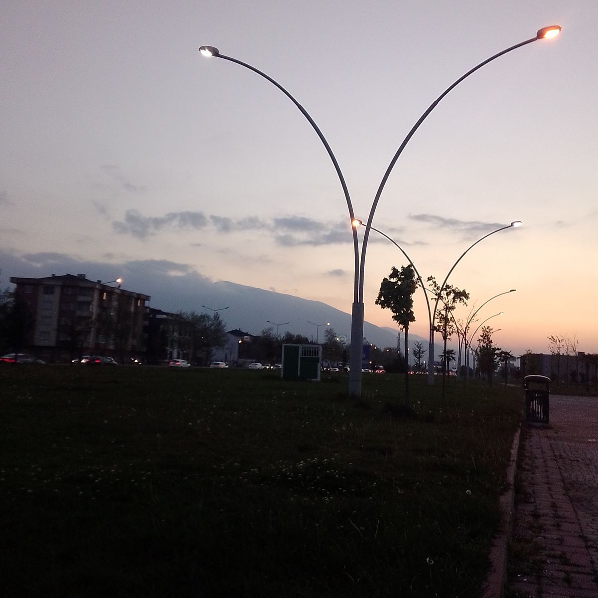 صورة المنشور