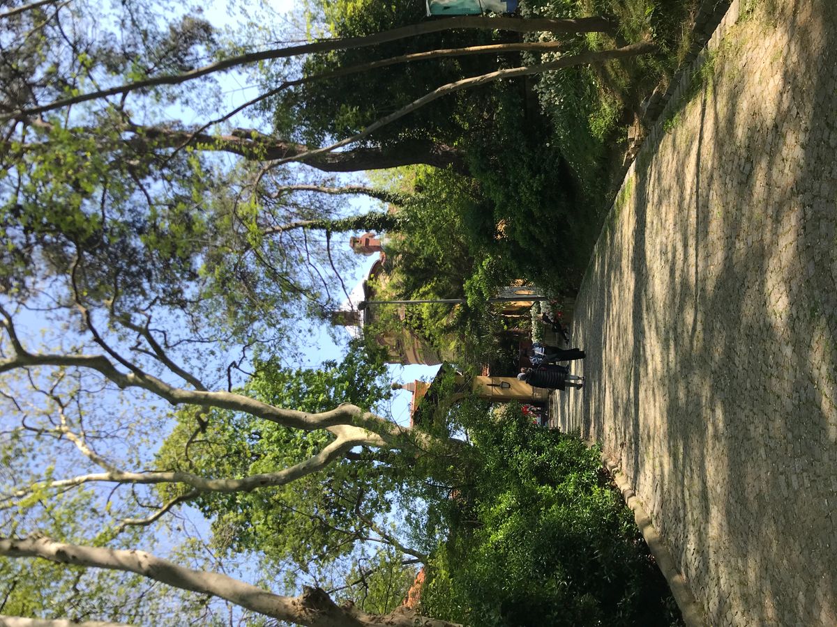 Gönderi görseli