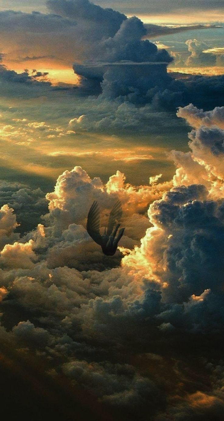 صورة المنشور