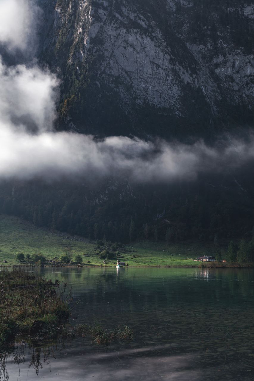 صورة المنشور