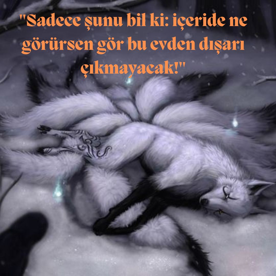 Gönderi görseli