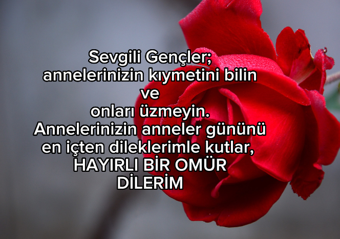 Gönderi görseli