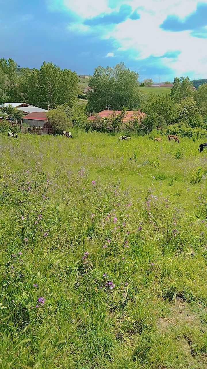 Gönderi görseli