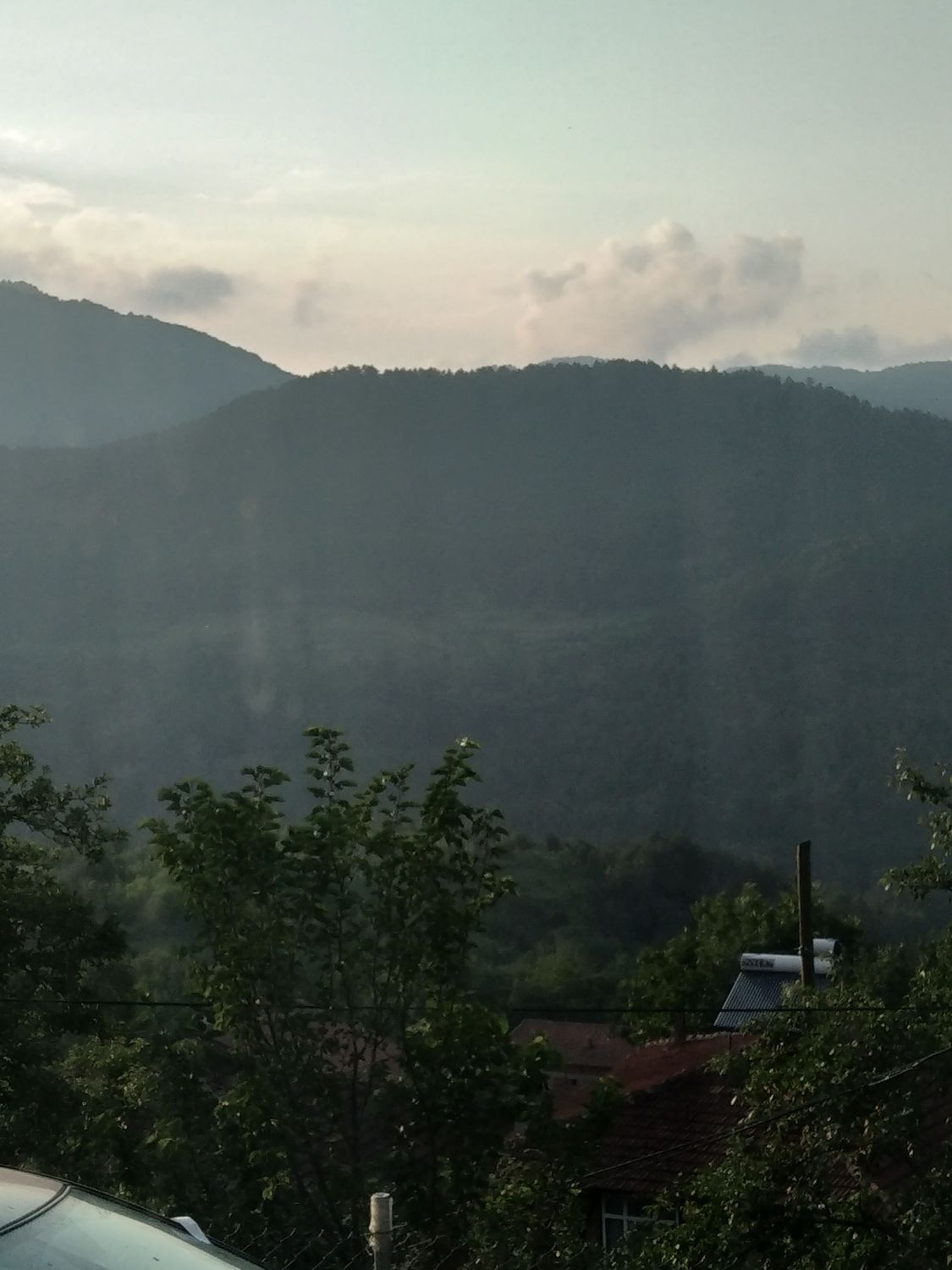 صورة المنشور