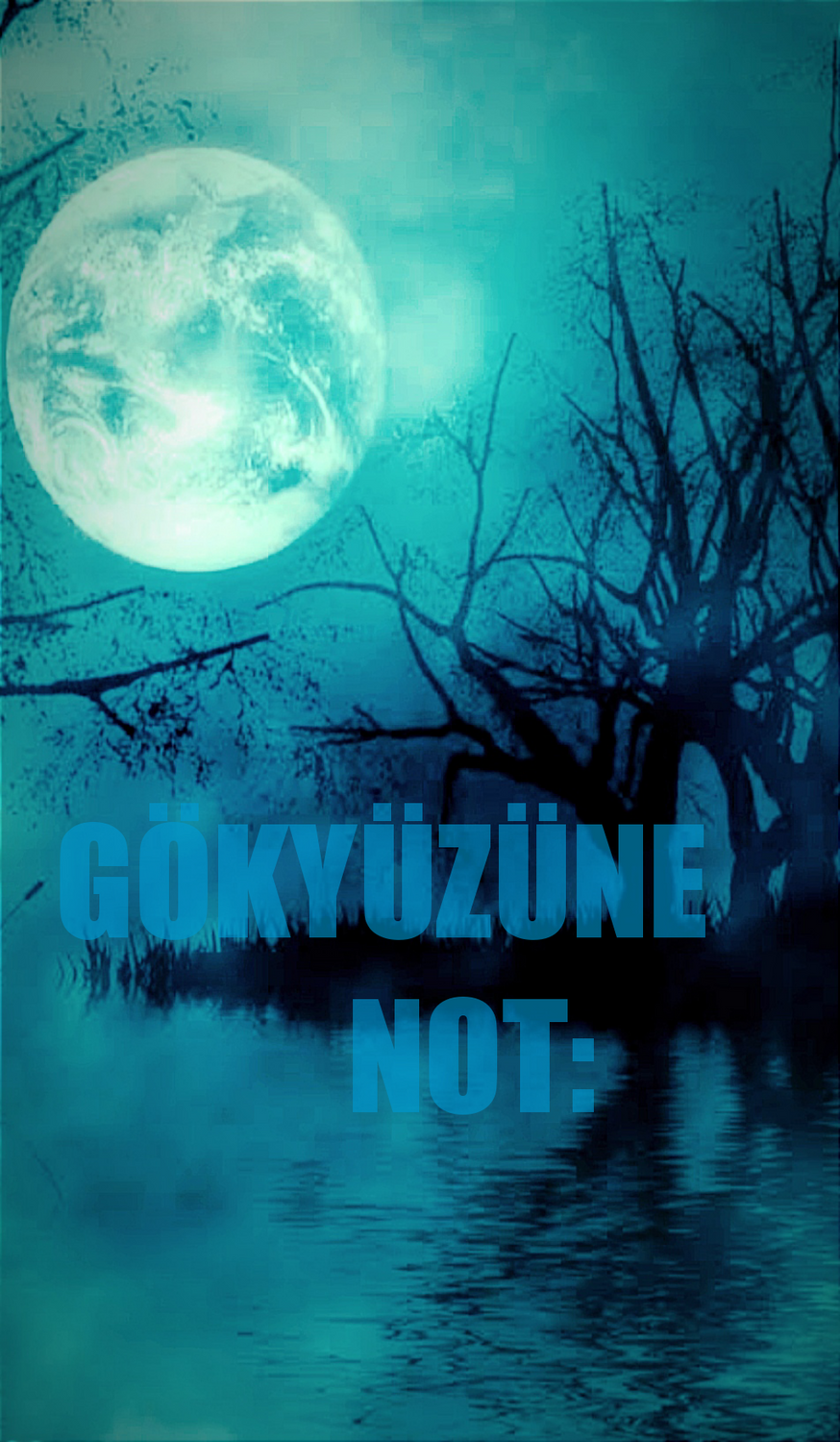 Gönderi görseli