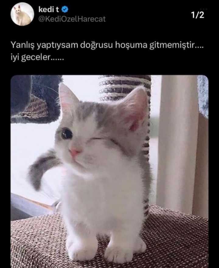 Gönderi görseli