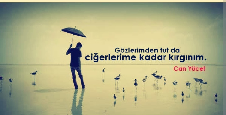 Gönderi görseli