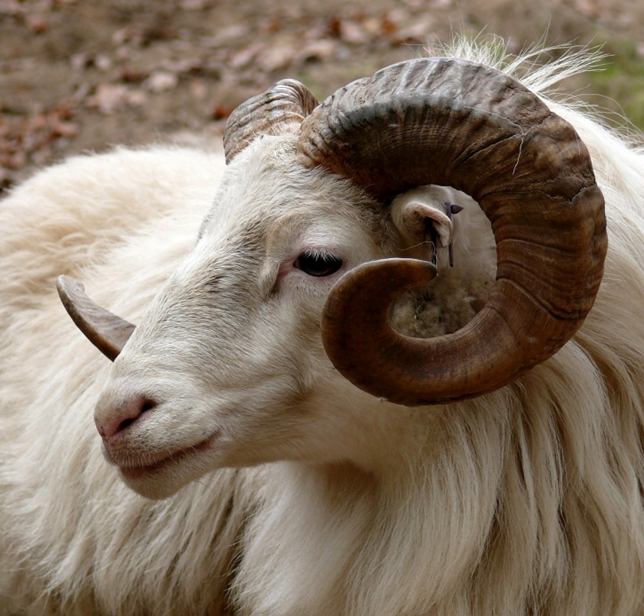 Gönderi görseli
