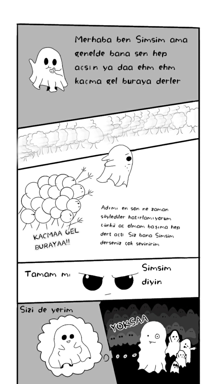 Gönderi görseli