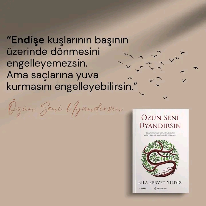 Gönderi görseli