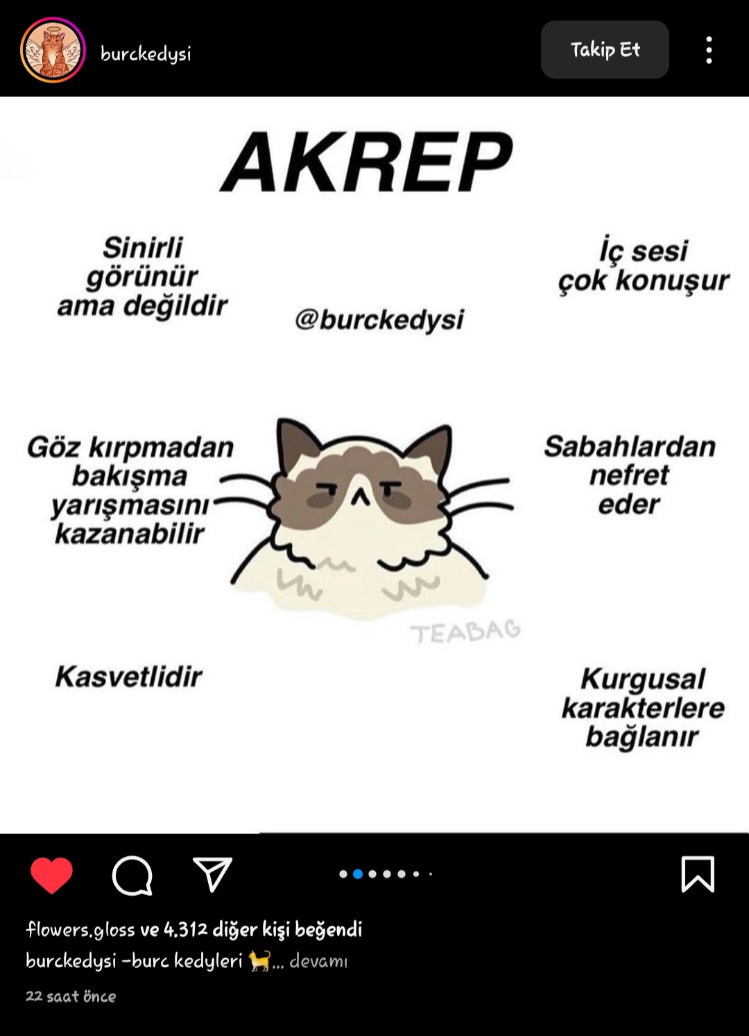 Gönderi görseli