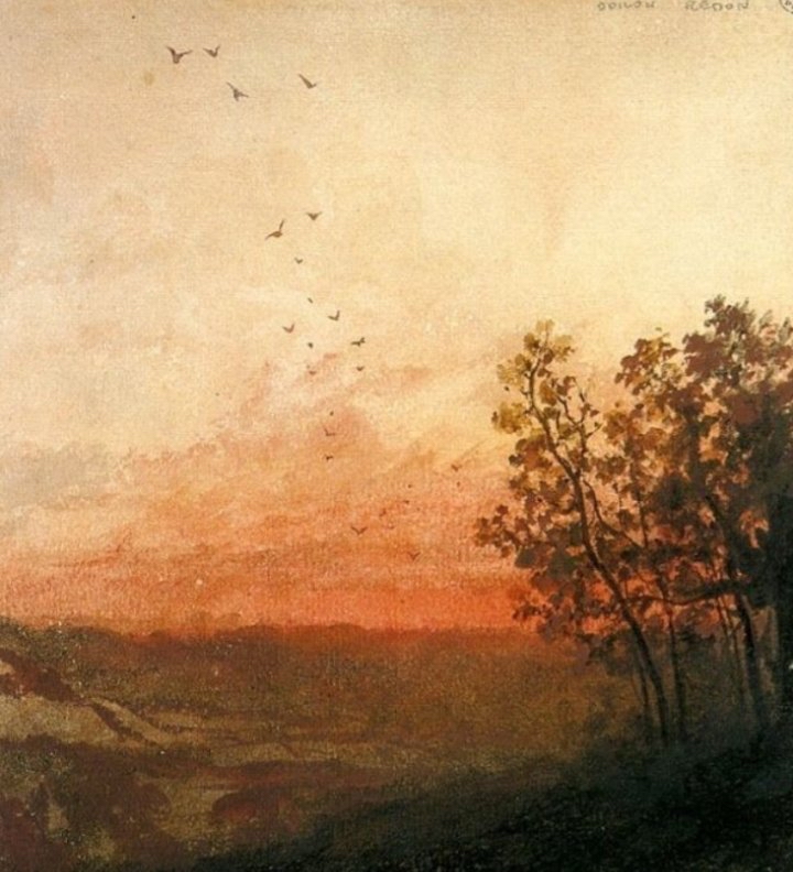 صورة المنشور