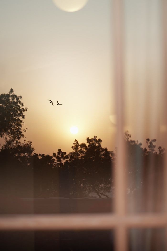 صورة المنشور