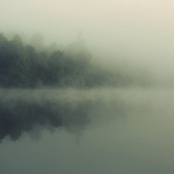 صورة المنشور