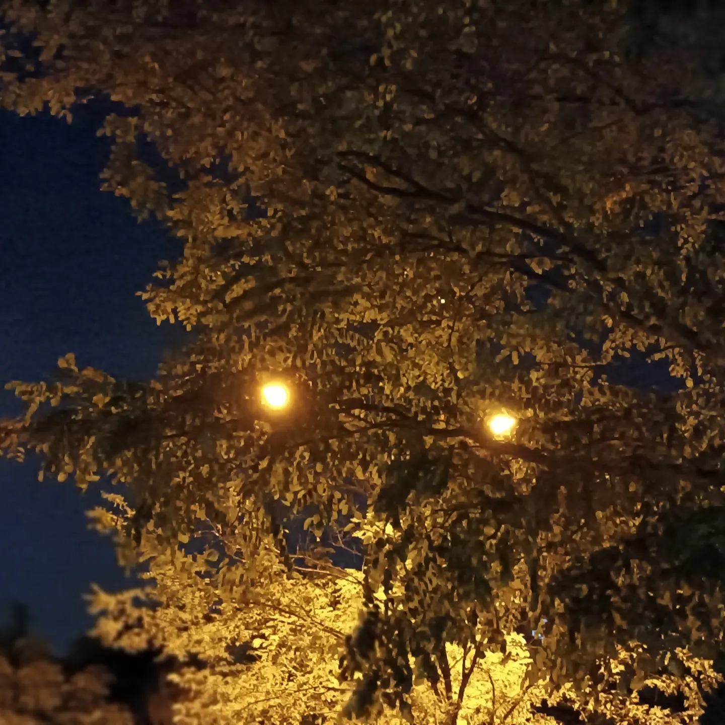 صورة المنشور